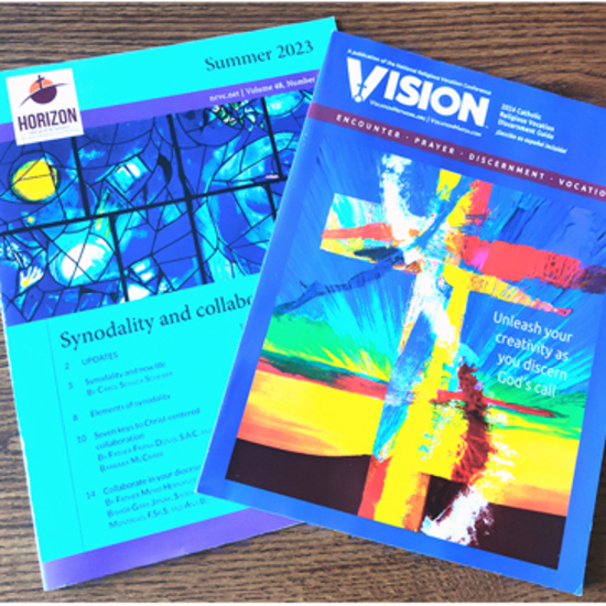 VISION and HORIZON win 5 awards